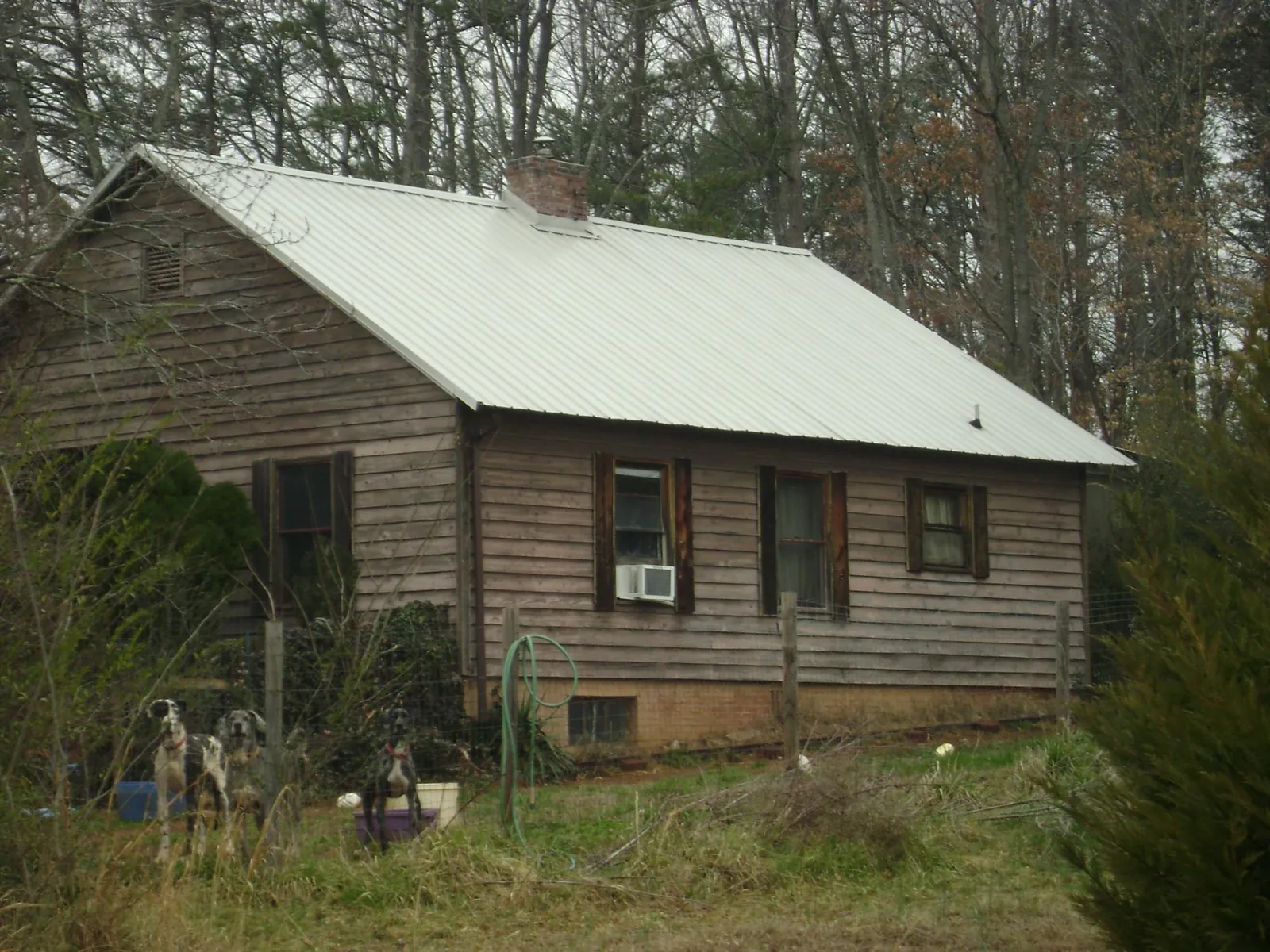 White metal roof on an old wood sided farmhouse, from a Asphalt Shingle Roof Repair job in Brentwood